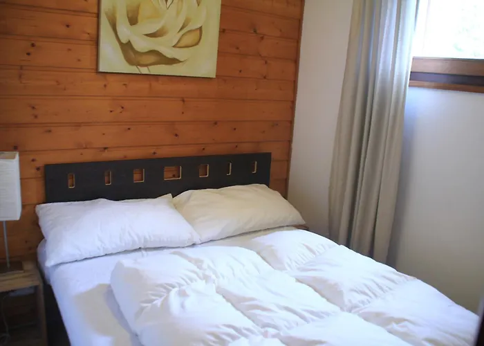 Sabaudia Sba4 Mountain & Nature 4 Pers Apartment Chatel